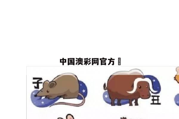 中国澳彩网官方	
