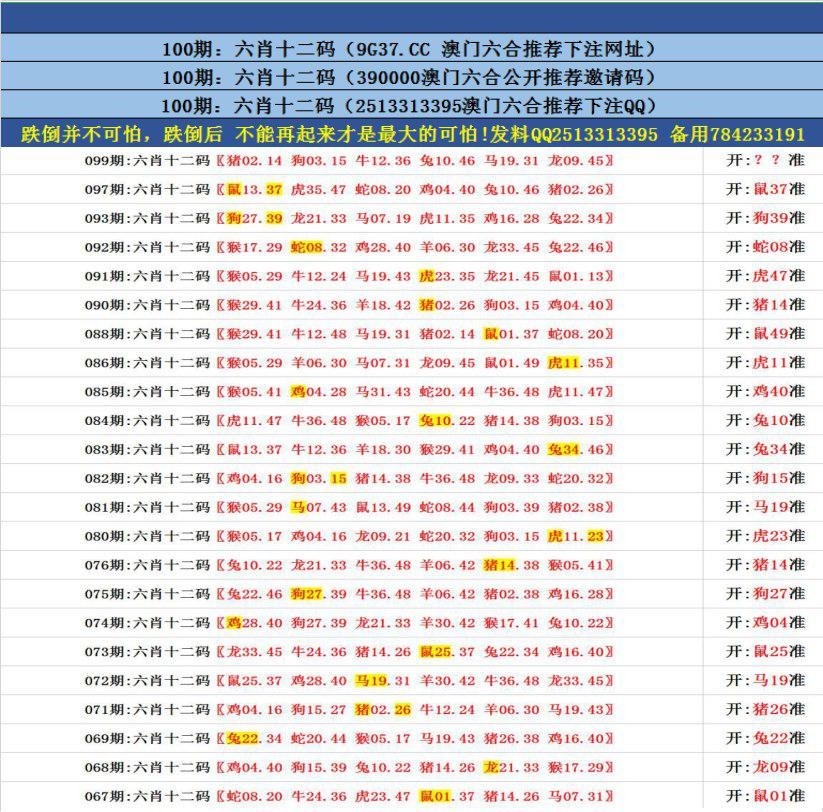 最精准澳门免费资料大全,最新热门解析实施_精英版121,127.13