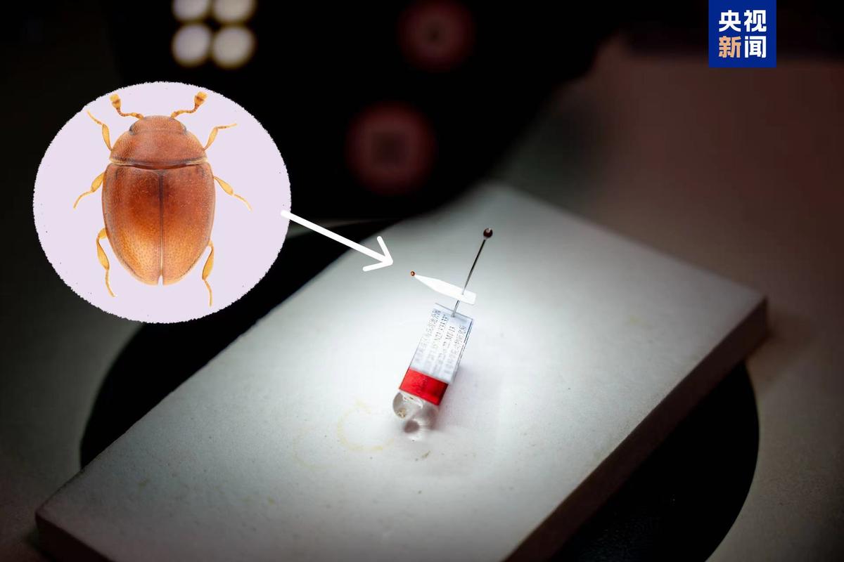 发现微生物新物种,发现微生物新物种的意义