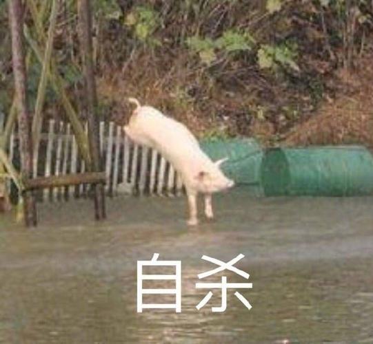 港彩二四六天天好资料和带妻儿自杀独自逃生与妻子带着孩子跳河