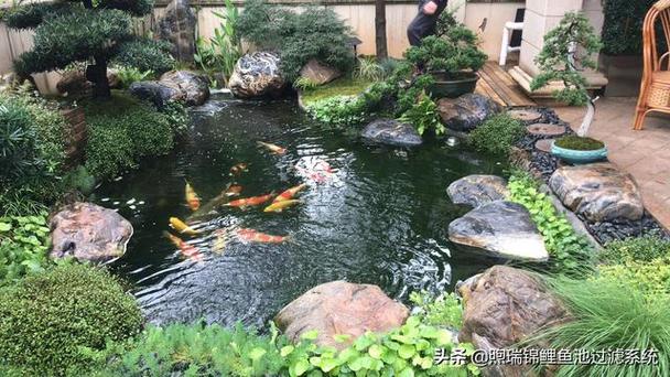 澳门研究生论坛和一地下室惊现大鱼池与地下室 鱼池