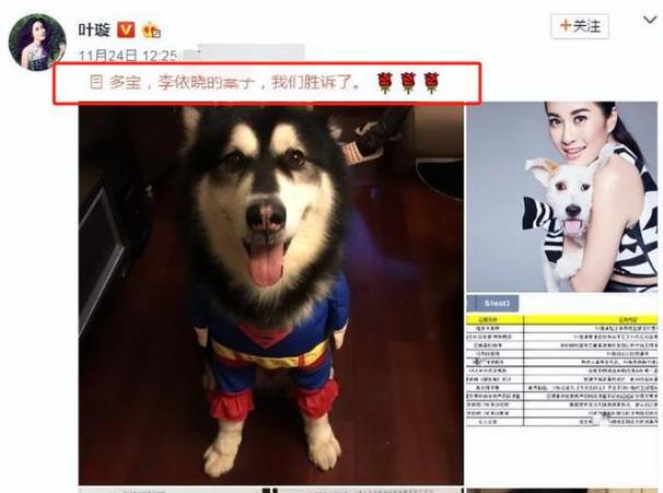 2025新澳门王中王正版和狗闯村民家咬伤女童与村里的狗咬人,应该找谁解决